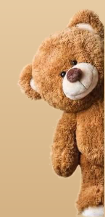 Nounours de TeddYEars